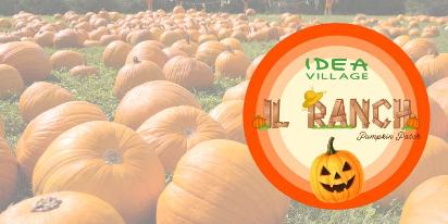 idea village il ranch pumpkin patch